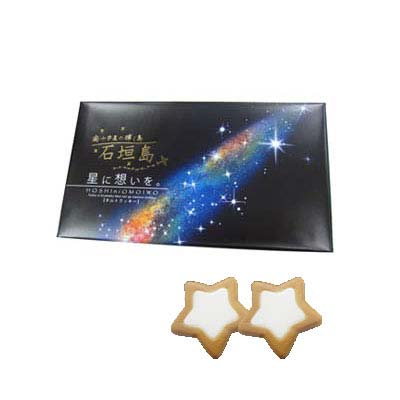 石垣島 星に想いを(小)