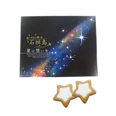 石垣島 星に想いを(大)