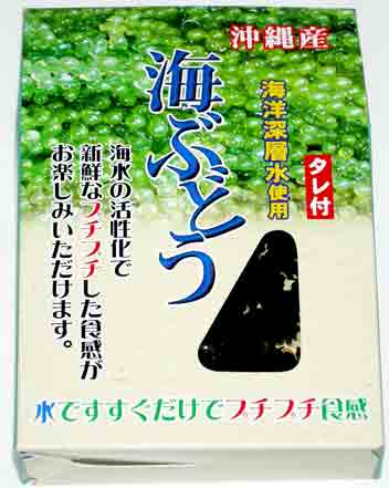 沖縄産海ぶどう　20ｇ箱