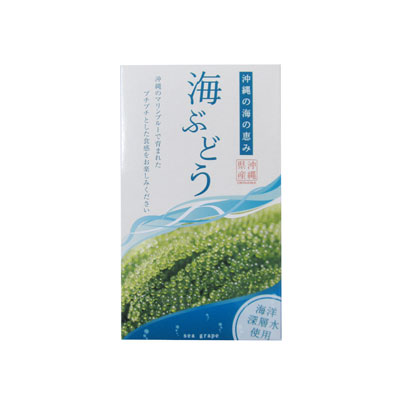 海ぶどう 100ｇ 箱入り
