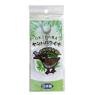 アクリル ｽﾃﾝﾄﾞ ﾀﾞｲｶｯﾄK/H　沖縄ﾔﾝﾊﾞﾙｸｲﾅ (820-840)