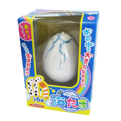 ウミノタマゴ 海たま