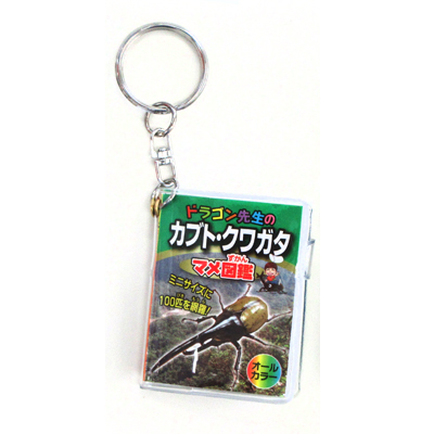 ドラゴン先生のカブト・クワガタ マメ辞典 K/H