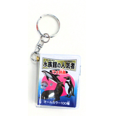 水族館の人気者 マメ辞典 K/H