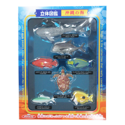立体図鑑　沖縄の海